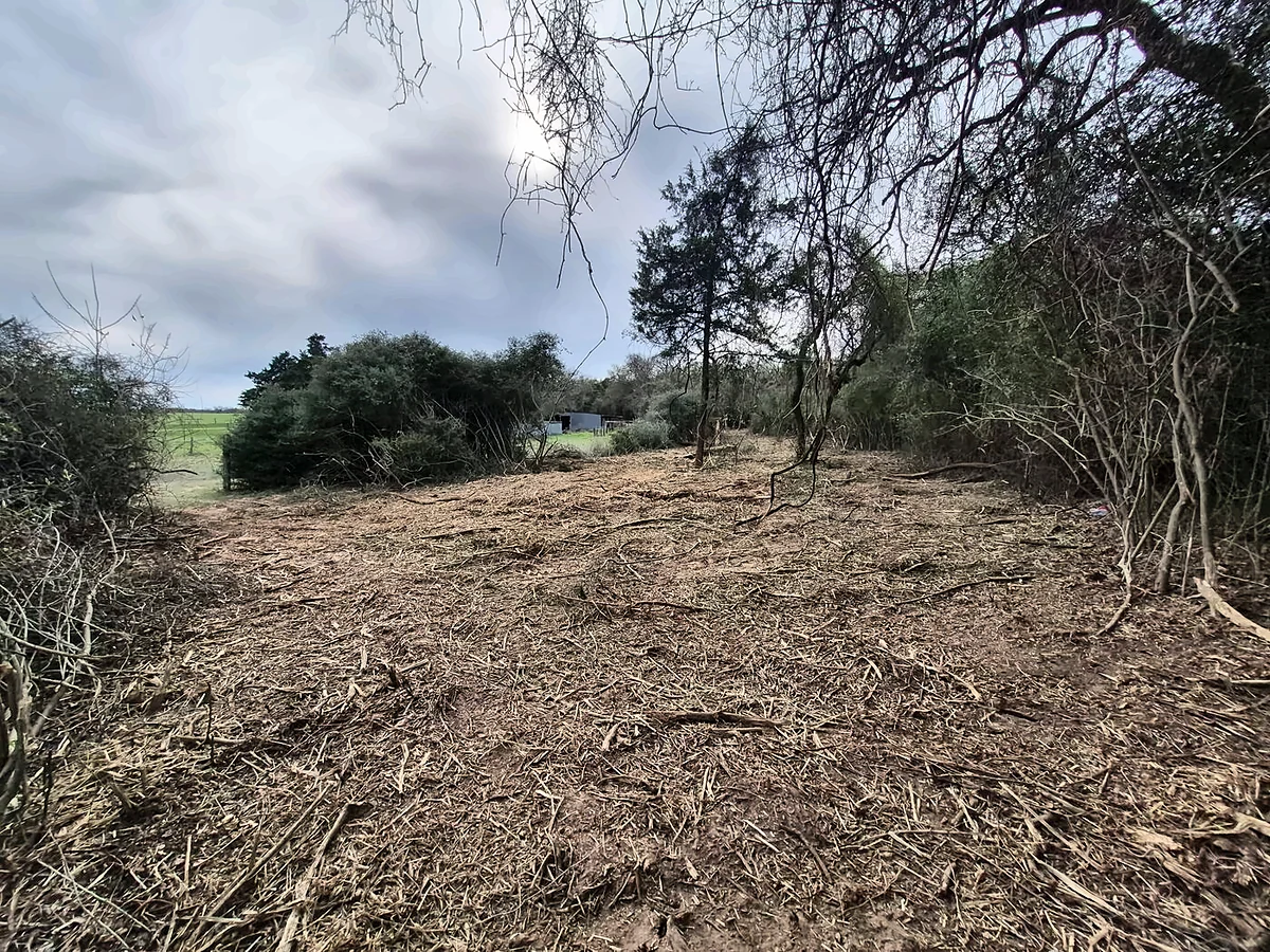 Property cleared of accumulated debris by B&B in Central Texas